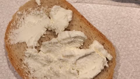 Eating Montchevre Plain Goat Cheese, Dbn, MI, 11/16/23