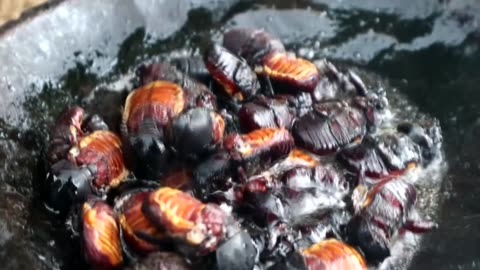 Catch insects on tree grilled on clay for food - Cooking insects eating delicious