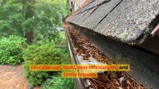 Are Your Clogged Gutters Causing Ceiling Leaks?