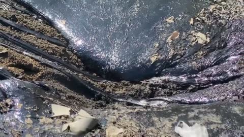 Heroic moment people rescue stray dog stuck in molten rubber _ Stray dog rescued