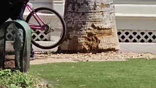 Bike Theft In Broad Daylight