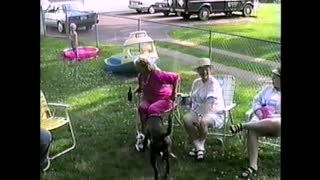 Sprinting Dogs Take Out Kid During Backyard Party