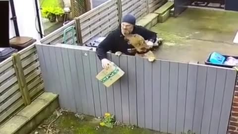 The dog who tried to befriend the delivery boy but was misunderstood