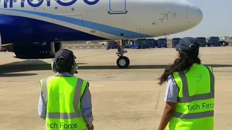 Indigo Airline girls power