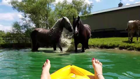 Woman on raft hangs out with horses in pond