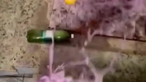 Breaking bottle crushing