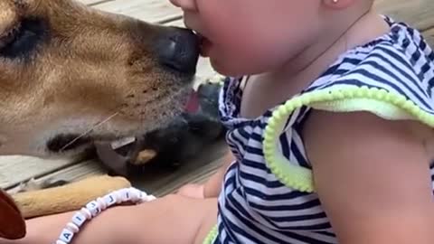 Baby and dog friends funny