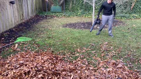 Oddly Satisfying Fall Cleanup (time lapse