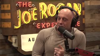 Joe Rogan Do Whatever You Wanna Do, Just Make Sure You Do It