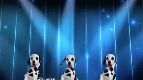 Enjoy Enjaami - CAT and DOG sing