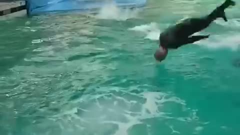 How to swim with shack
