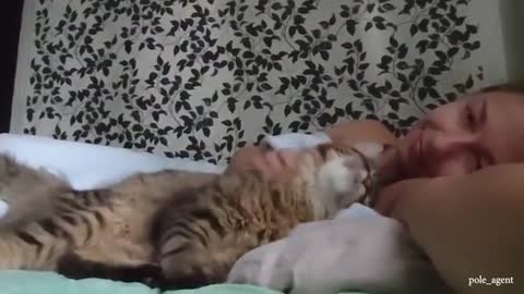 Snuggle Time Is Coming!! Cute Cats And Their Owners Sleep Together