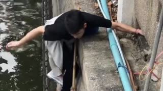 Stray Cat Rescued From River
