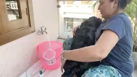 ये तो होना ही था | When your mom love your dog more than you