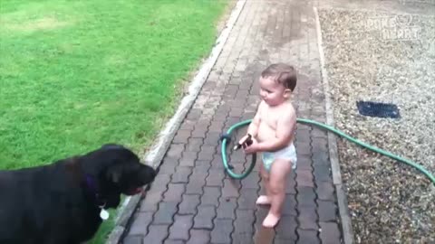 Fun and Heart Warming Compilation of really cute Babies