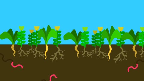 Regenerative Agriculture explained