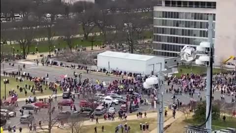 Patriots in DC shownin full force