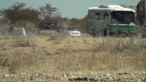 Elephant Charging Bus in Etosha National Park Namibie
