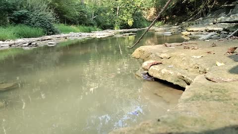 A day at the Creek.