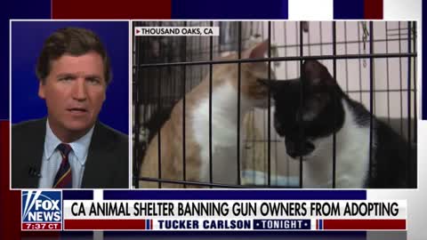 Tucker Carlson reports that an animal shelter in California is banning people from adopting dogs if they don't support gun confiscation