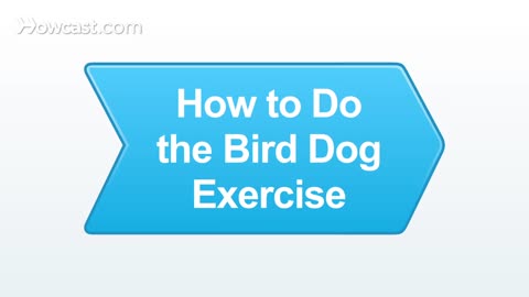 How to Do the Bird Dog Exercise | Abs Workout