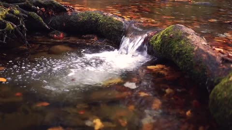 Río Arroyo Cascada Otoño Temporada Calma