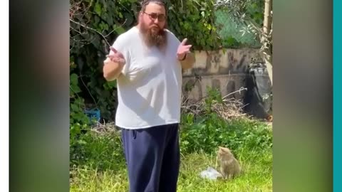 An Israeli settler’s stealing a Palestinian’s home caught on camera