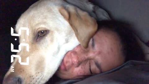 Puppy alarm clock wakes owner up super early