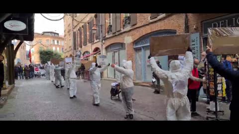 Les Masques Blancs ALbi Action Pancartes le 27 Novembre