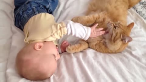 This cat and baby duo will make your day