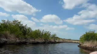 Just an Airboat Ride