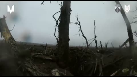 Incredible Footage from Ukrainian Front Lines