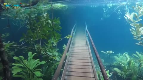 Submerged trail in Recanto Ecológico in Rio da Prata