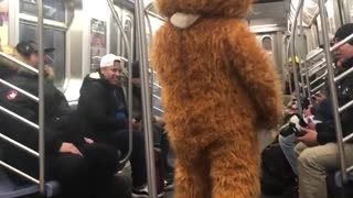 Person in a hamster suit on a subway