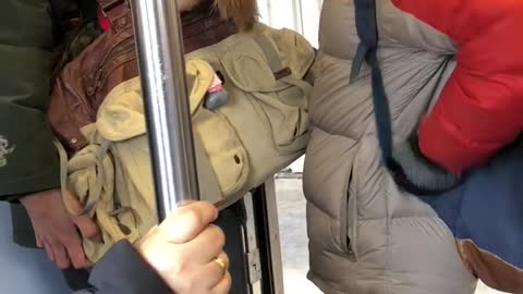 Brown dog inside brown bag carried by man green jacket