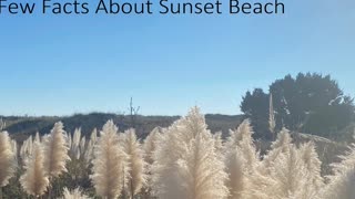 Discover the Charming History and Beauty of Sunset Beach, NC
