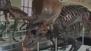 The Great Dinosaur Hoax