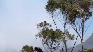 Incendio en el Páramo