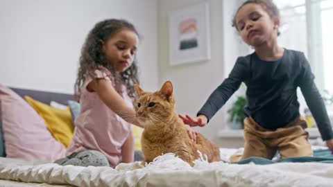 Kids Petting Their Cat On The Bed
