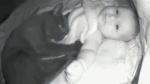 A mother watched her cat watch her baby every night