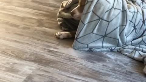 Neo Likes to Play Hide and Seek