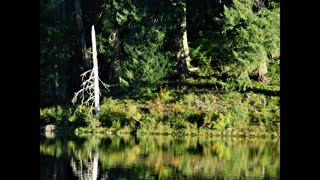 A trip to Clear lake Oregon with my Mother