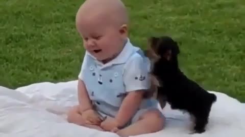 Baby playing with baby 🐶🐕😻😍♥️