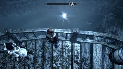 Skyrim: Could you not?