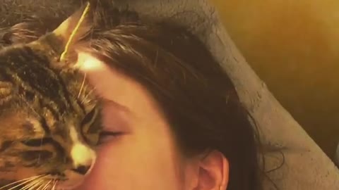 Overly affectionate kitty can't stop hugging owner's face