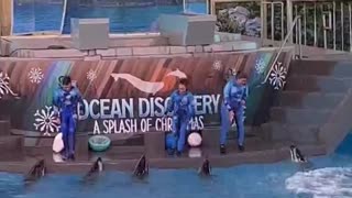 Sea World Show