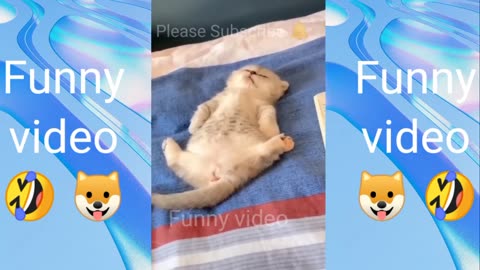 Funny Animals 2024 😂 !! Try not to laugh challenge 🤣 !! #funny #viral #youtube