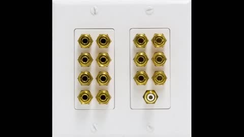 Review: Home Theater 5.1 Surround Sound Distribution Wall Plate 10 Banana Binding Post Coupler...