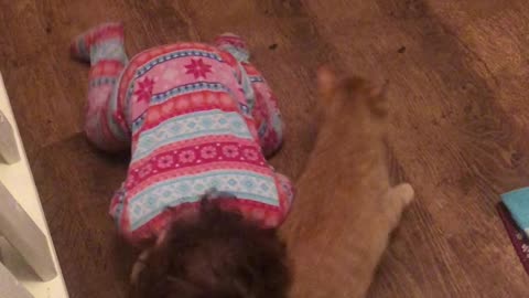 Affectionate Kitty Plays With Toddler Best Friend