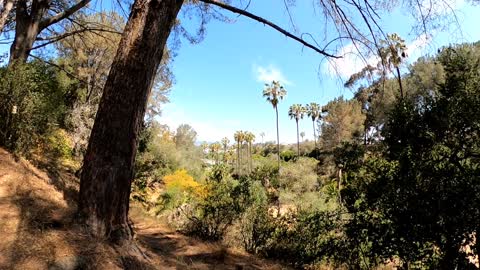 The Trails of Presidio Park